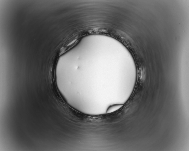 X0000088020915200706081438