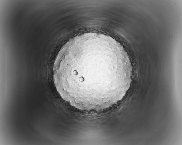 X0000088020917200706081438
