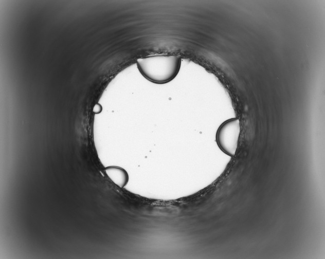X0000088020918200706081438