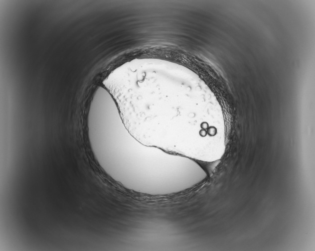 X0000088020920200706081438