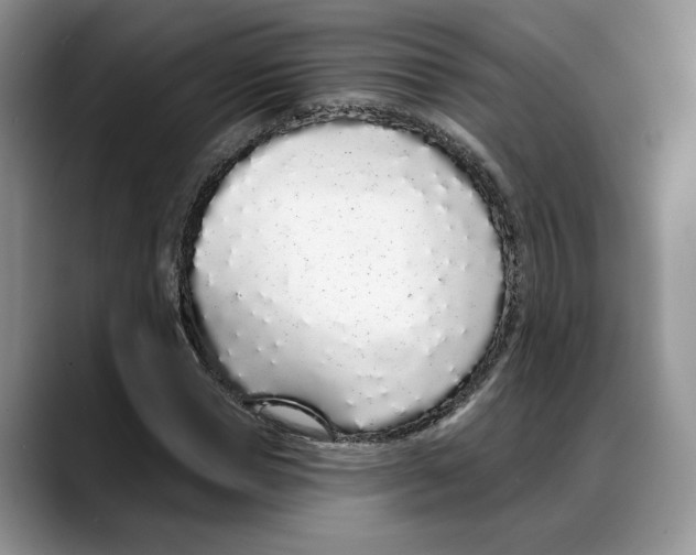 X0000088020921200706081438
