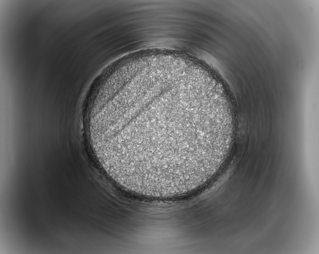 X0000088020923200706081438
