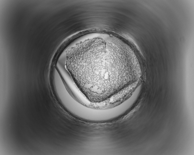 X0000088020924200706081438