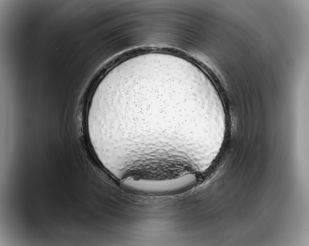 X0000088020926200706081438