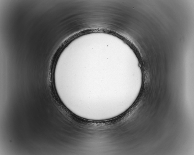 X0000088020927200706081438