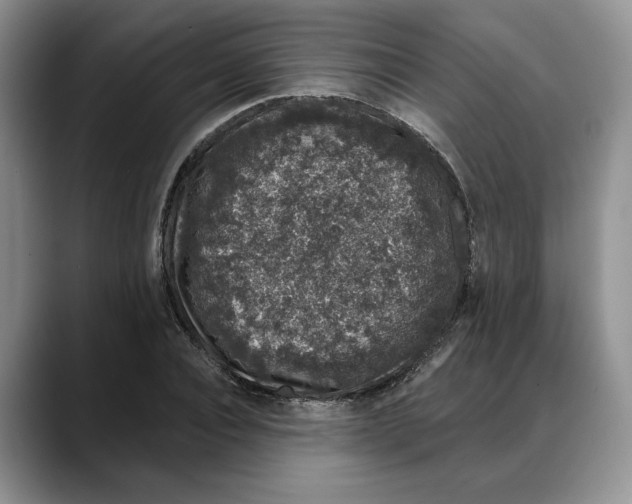 X0000088020928200706081438