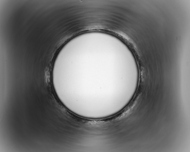 X0000088020929200706081438