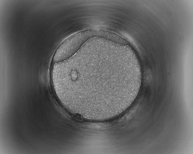 X0000088020932200706081438
