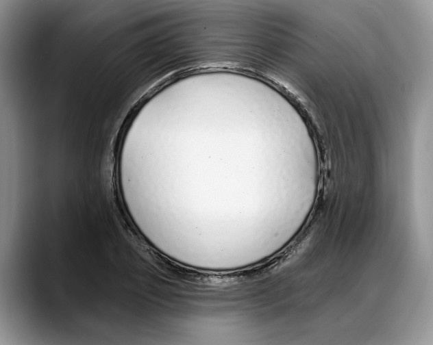 X0000088020933200706081438