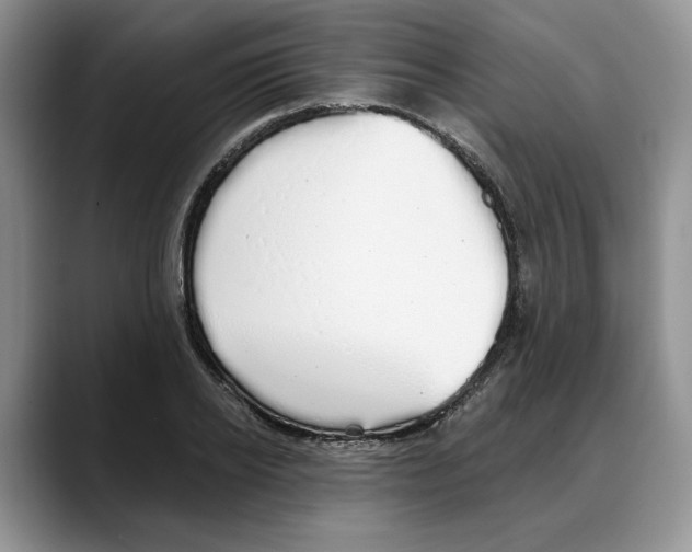 X0000088020934200706081438
