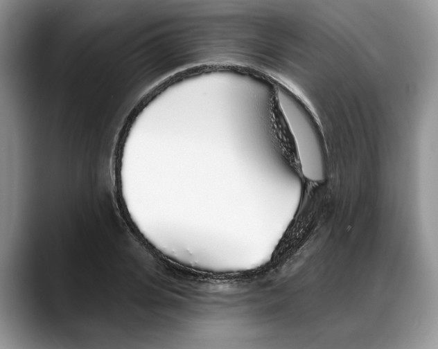 X0000088020935200706081438