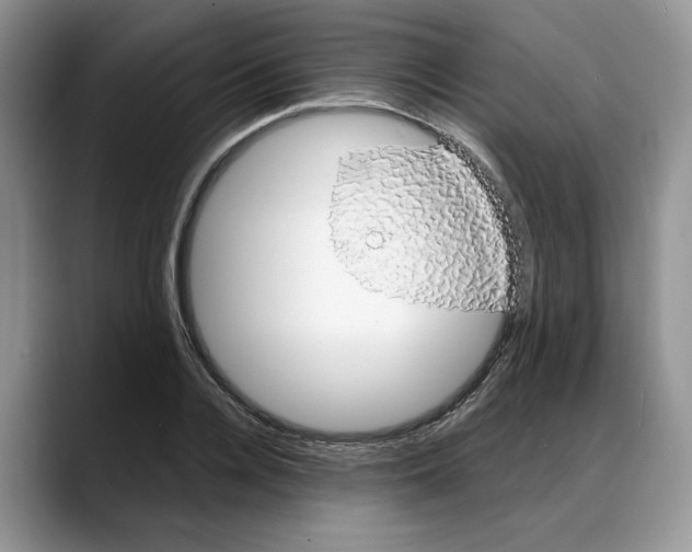 X0000088020936200706081438
