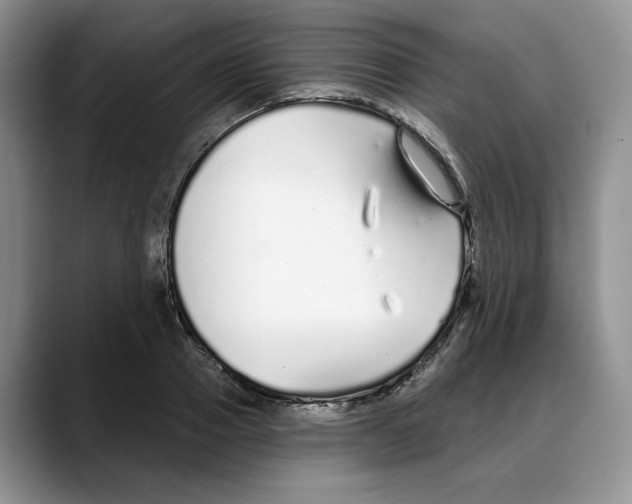 X0000088020937200706081438