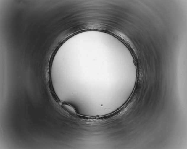 X0000088020938200706081438
