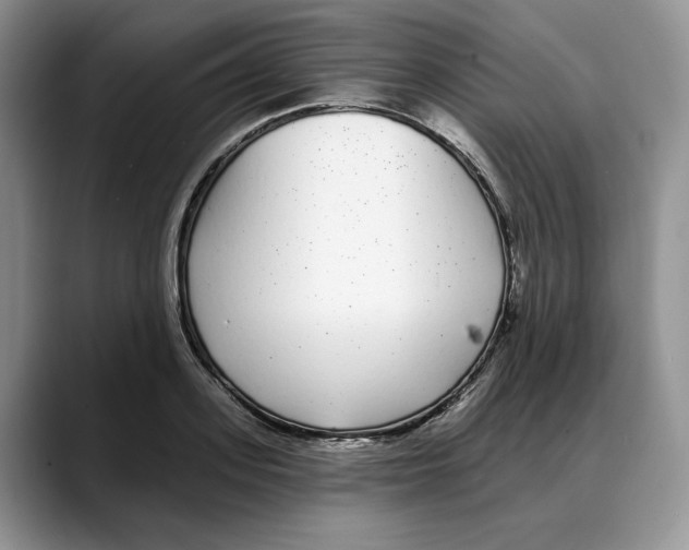 X0000088020939200706081438