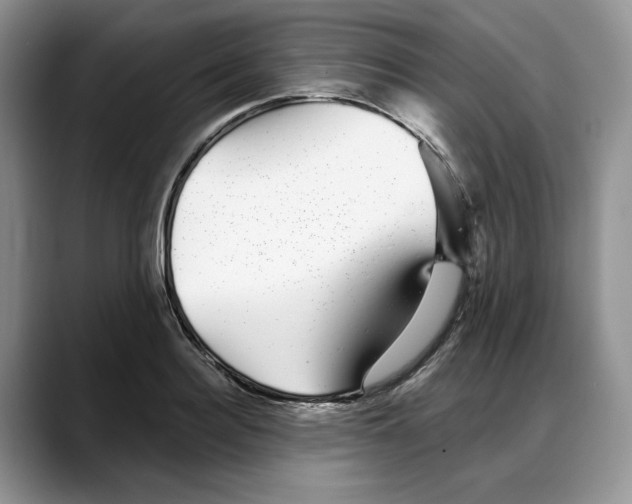 X0000088020940200706081438