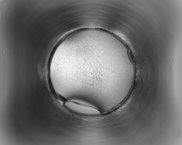 X0000088020942200706081438