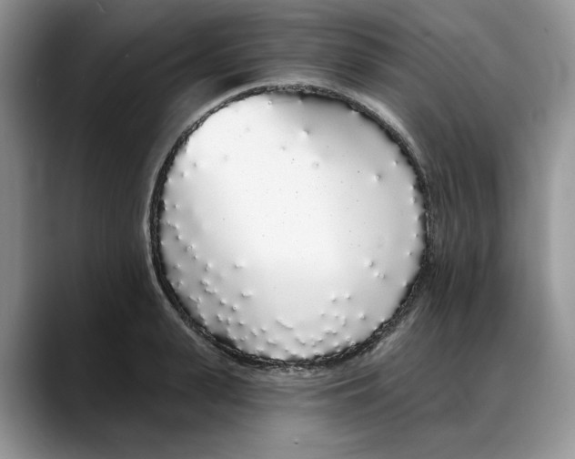 X0000088020943200706081438