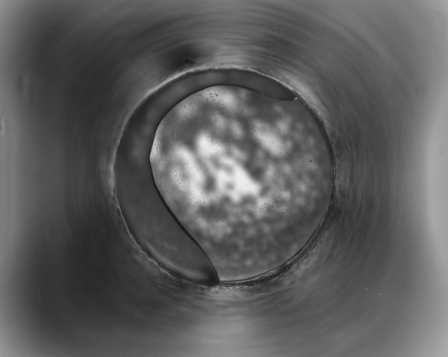 X0000088020944200706081438