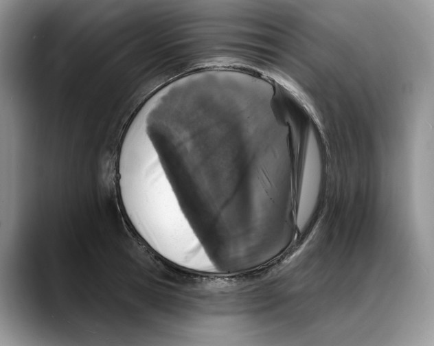 X0000088020945200706081438
