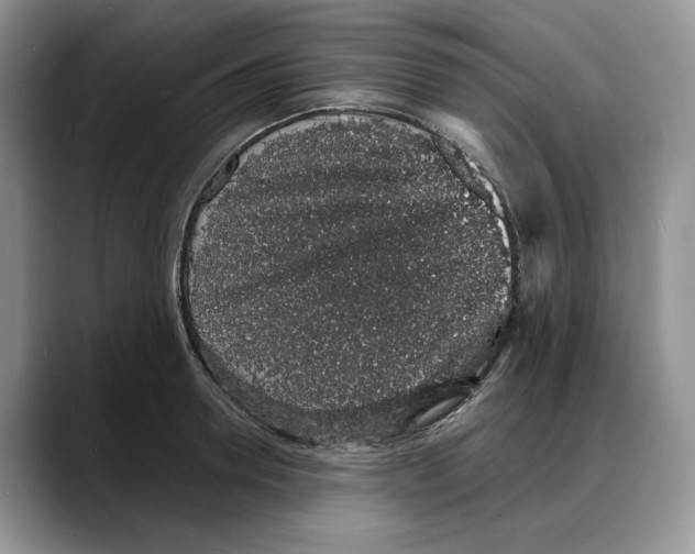 X0000088020946200706081438