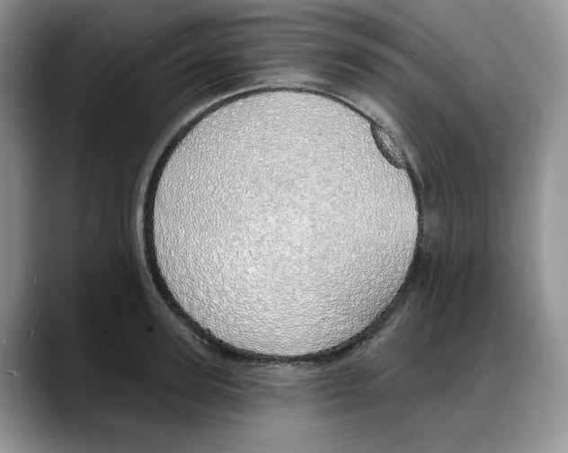 X0000088020947200706081438