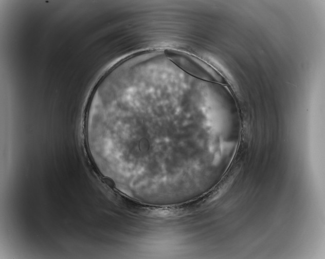 X0000088020948200706081438