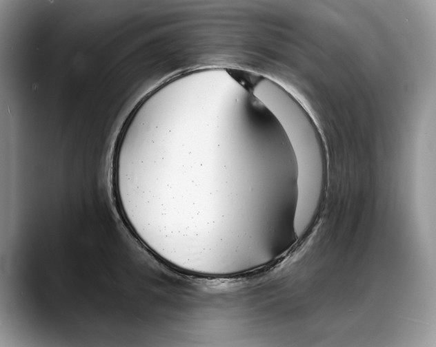 X0000088020949200706081438
