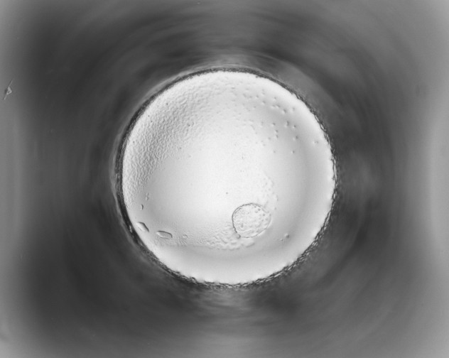 X0000088020950200706081438