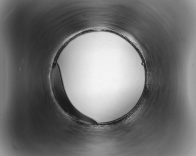 X0000088020951200706081438