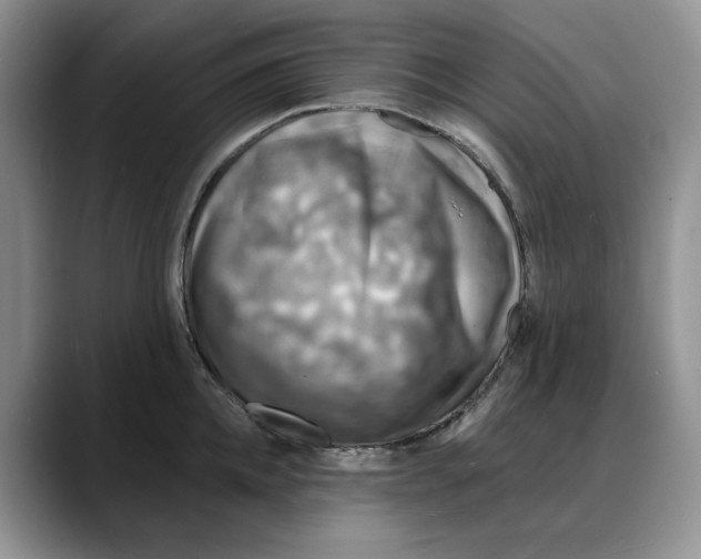 X0000088020952200706081438