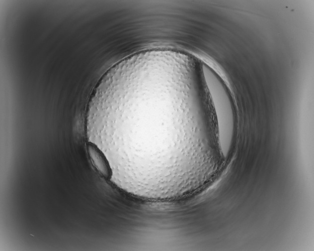 X0000088020953200706081438