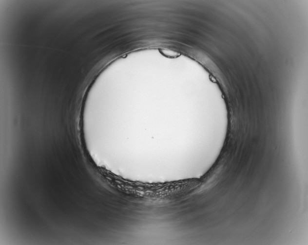 X0000088020954200706081439