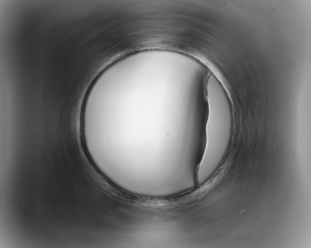 X0000088020957200706081439
