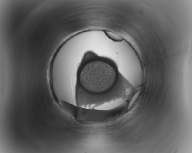 X0000088020958200706081439