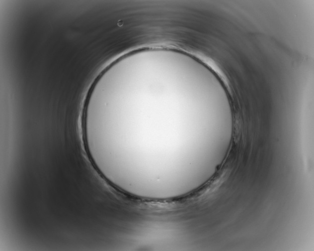X0000088020959200706081439
