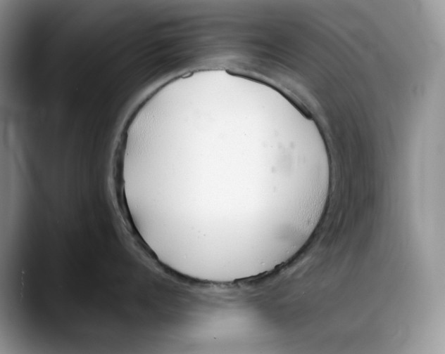 X0000088020960200706081439