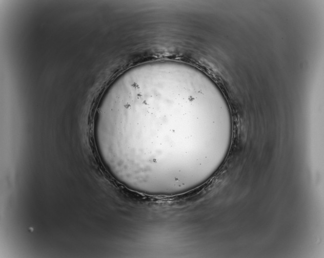 X0000088020961200706081438