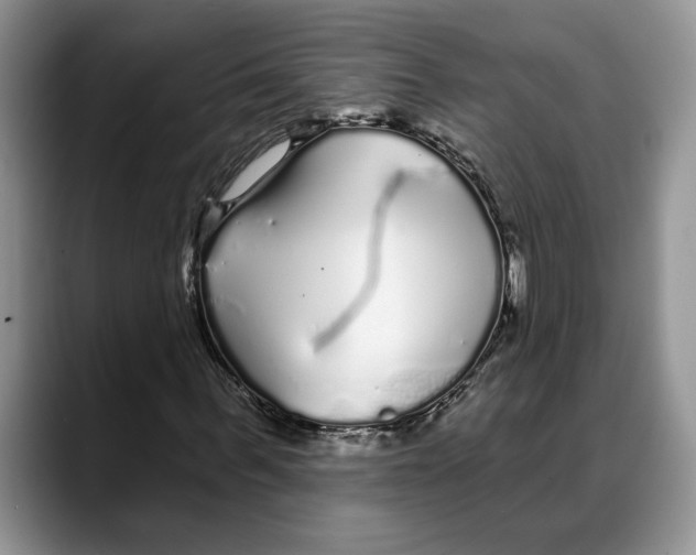 X0000088020963200706081438