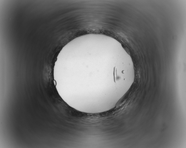 X0000088020964200706081438