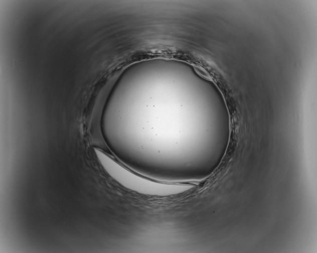 X0000088020965200706081438