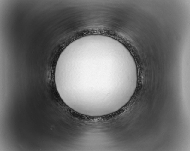 X0000088020966200706081438