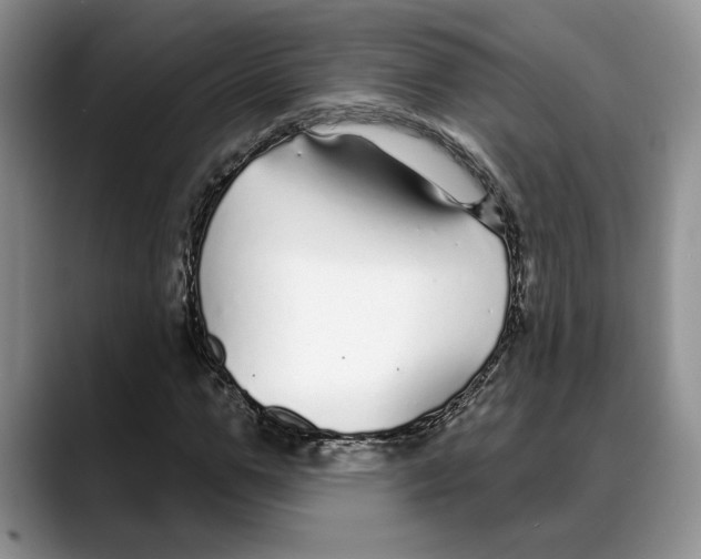 X0000088020967200706081438