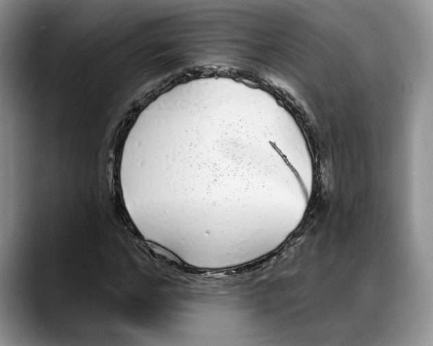 X0000088020968200706081438