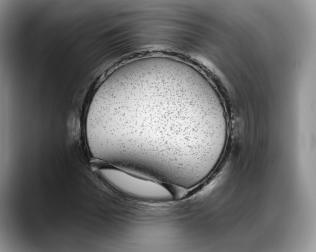 X0000088020969200706081438