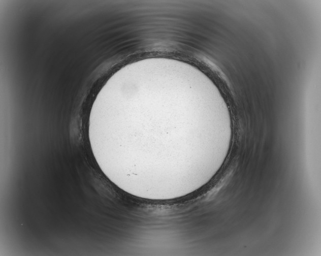 X0000088020970200706081438