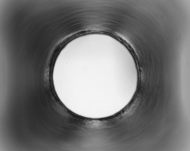 X0000088020971200706081438