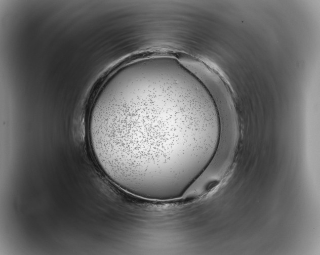 X0000088020973200706081438