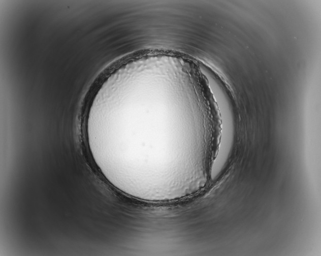 X0000088020976200706081438