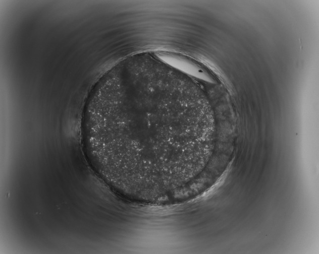 X0000088020977200706081438